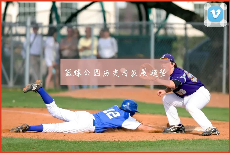 篮球公园历史与发展趋势
