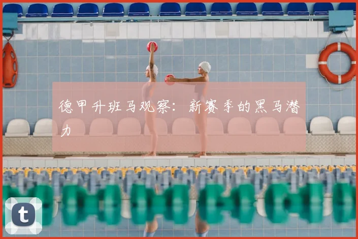 德甲升班马观察：新赛季的黑马潜力