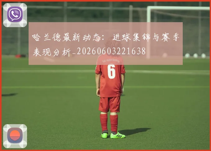 哈兰德最新动态：进球集锦与赛季表现分析_20260603221638