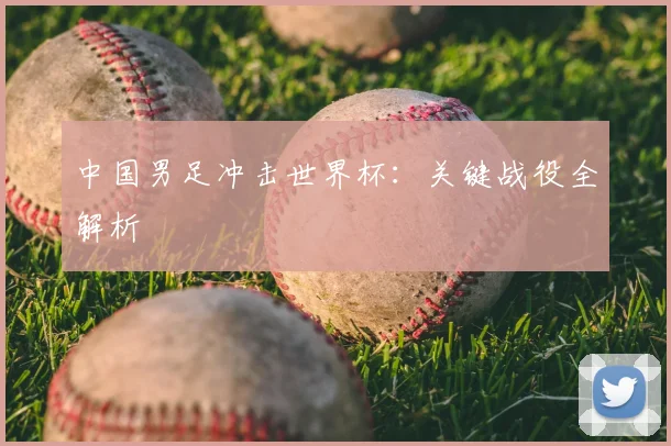 中国男足冲击世界杯：关键战役全解析